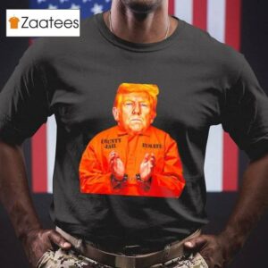 Donald Trump 53.8 Million Raised In 24 Hours Shirt
